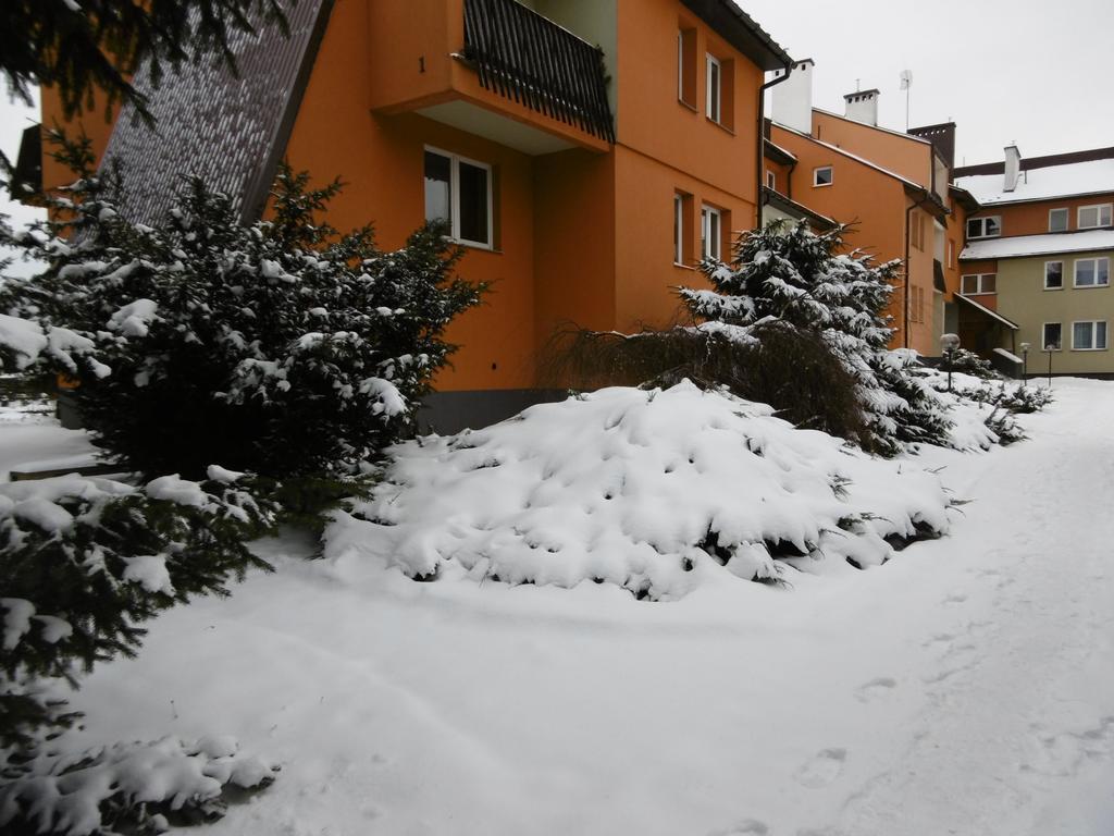 Apartament U Janusza 新塔尔格 外观 照片