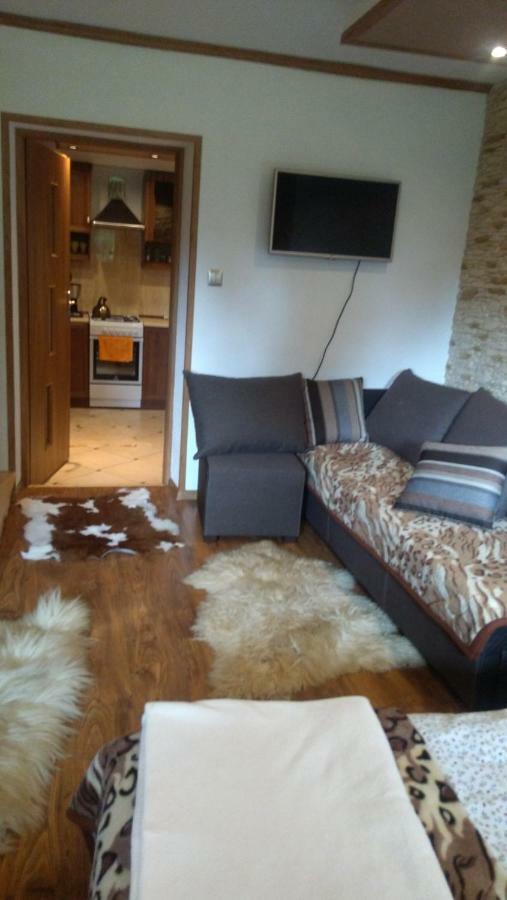 Apartament U Janusza 新塔尔格 外观 照片