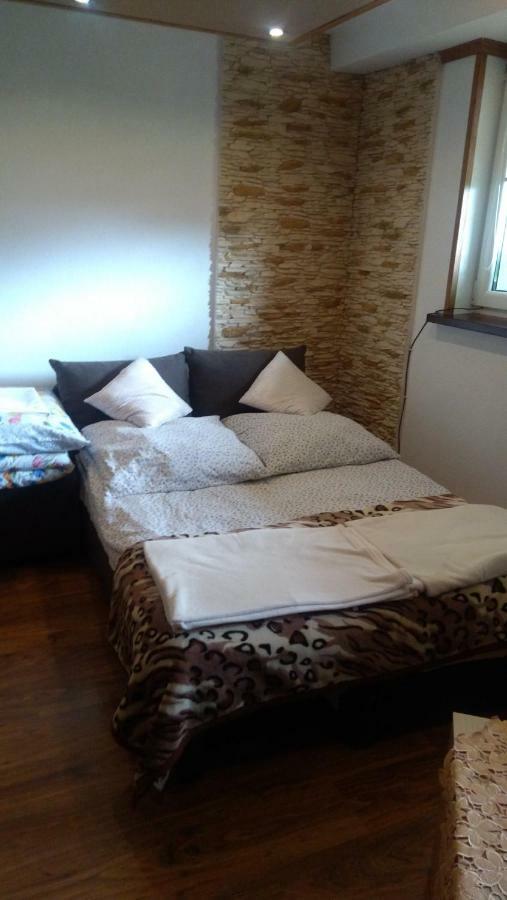 Apartament U Janusza 新塔尔格 外观 照片